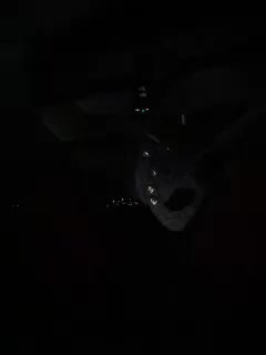 YuGoVi Adult Chat September 30, 2025