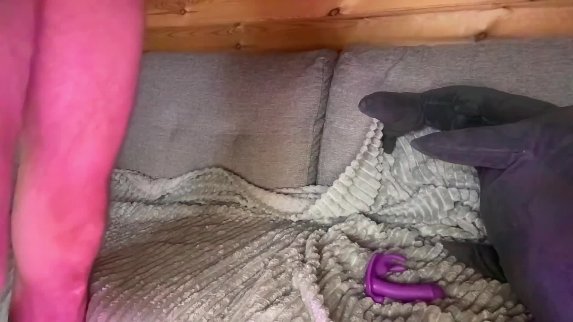 AliceAndAlex Adult Chat October 1, 2025