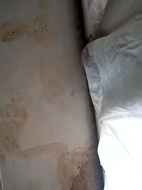 ericakat Adult Chat October 1, 2025