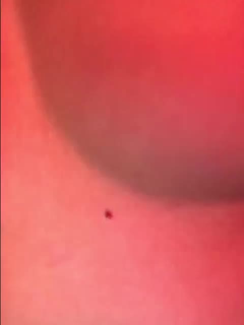 __Kybi1__ Adult Chat October 2, 2025