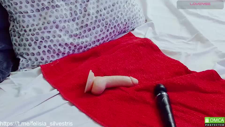 felisia_silvestris Adult Chat October 2, 2025