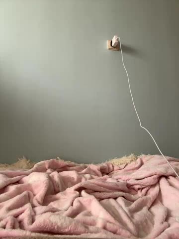 AlisaDoll444 Adult Chat October 2, 2025