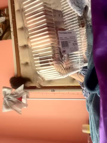 Flossy_Vettie Adult Chat October 2, 2025