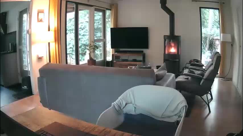 woodwurm Adult Chat October 2, 2025