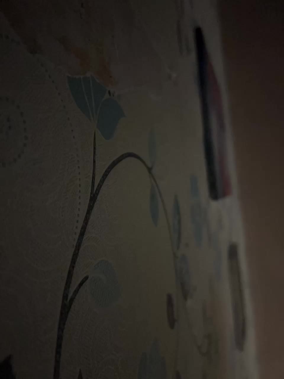 Aleks3012 Adult Chat October 3, 2025