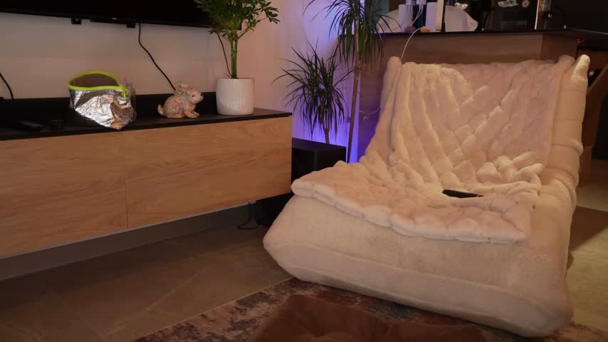 ibiddi Adult Chat October 3, 2025