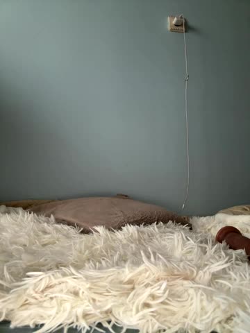 AlisaDoll444 Adult Chat October 3, 2025