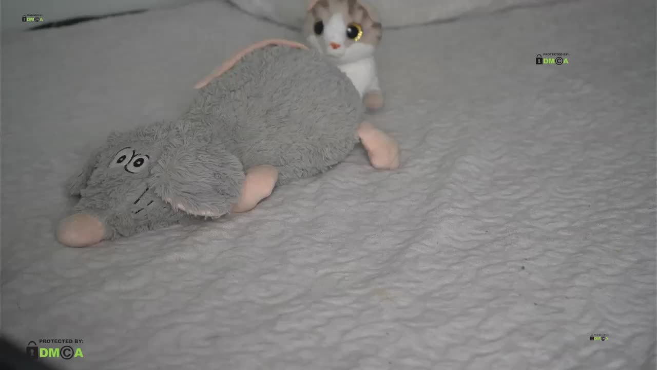 LornaParty Adult Chat October 3, 2025