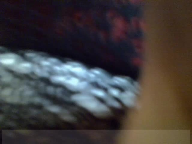 SanLuna Adult Chat October 4, 2025