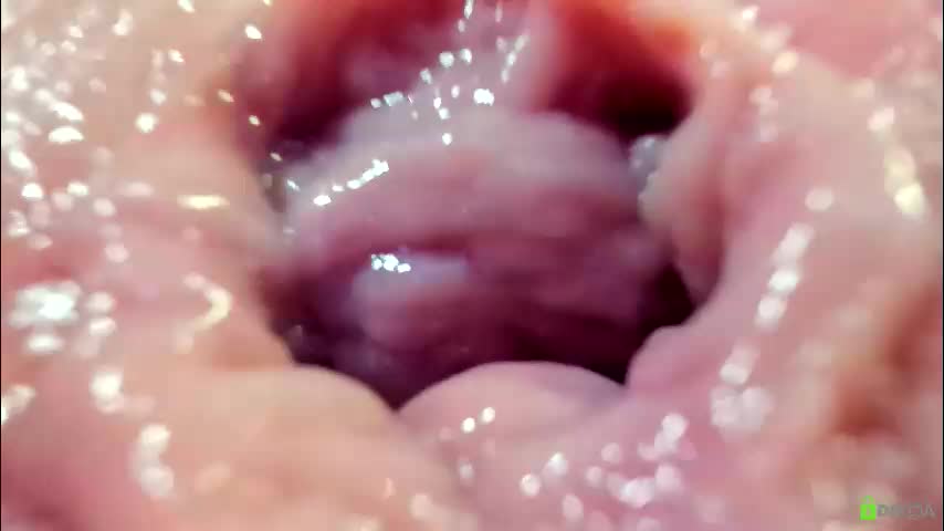 courtney_luv Adult Chat October 4, 2025