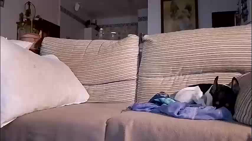 lolahueso Adult Chat October 4, 2025