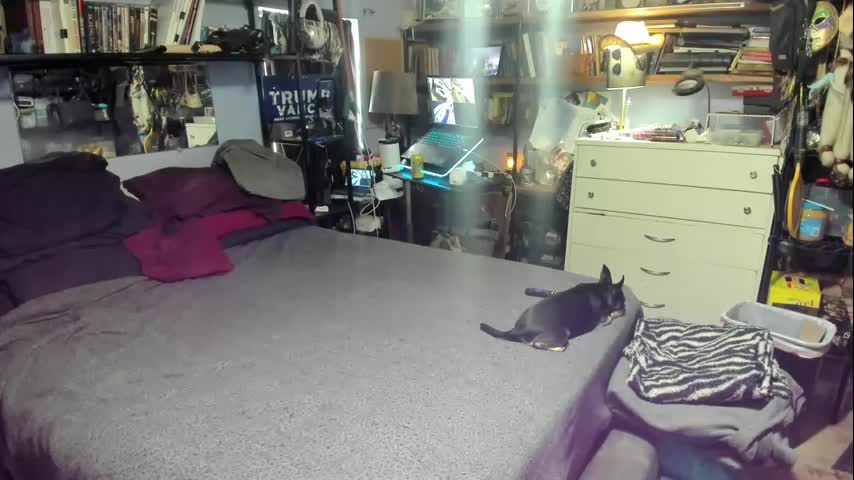 pink_black Adult Chat October 4, 2025