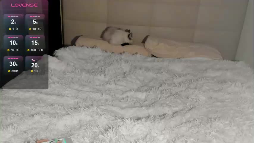 tune_godness Adult Chat October 4, 2025