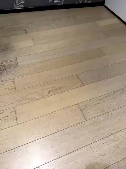 Belladonna-5 Adult Chat October 4, 2025