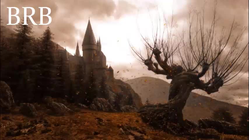 red_queeen Adult Chat October 4, 2025