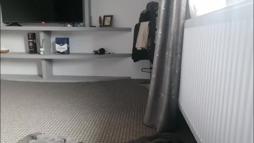 crazybrenda89 Adult Chat October 4, 2025