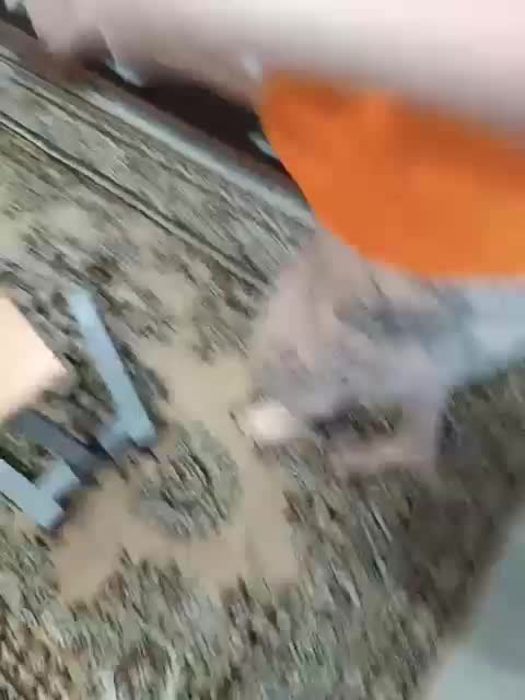 SexyCouple69 Adult Chat October 4, 2025