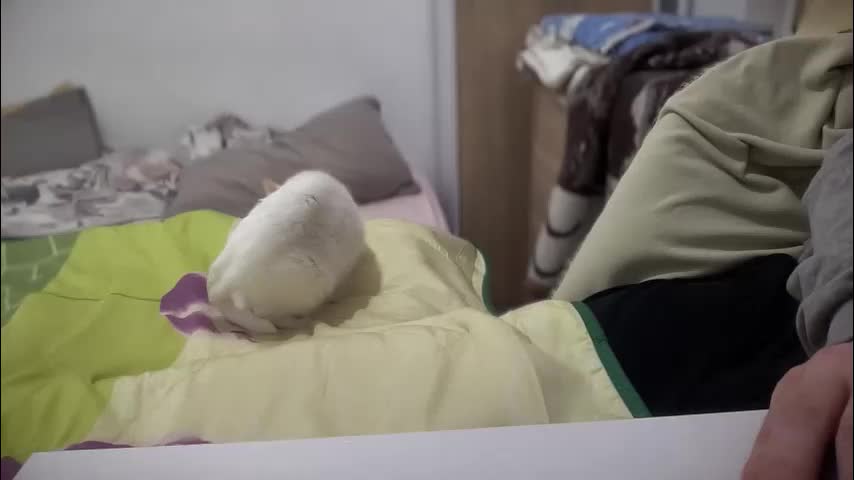 rosea_champagne Adult Chat October 5, 2025