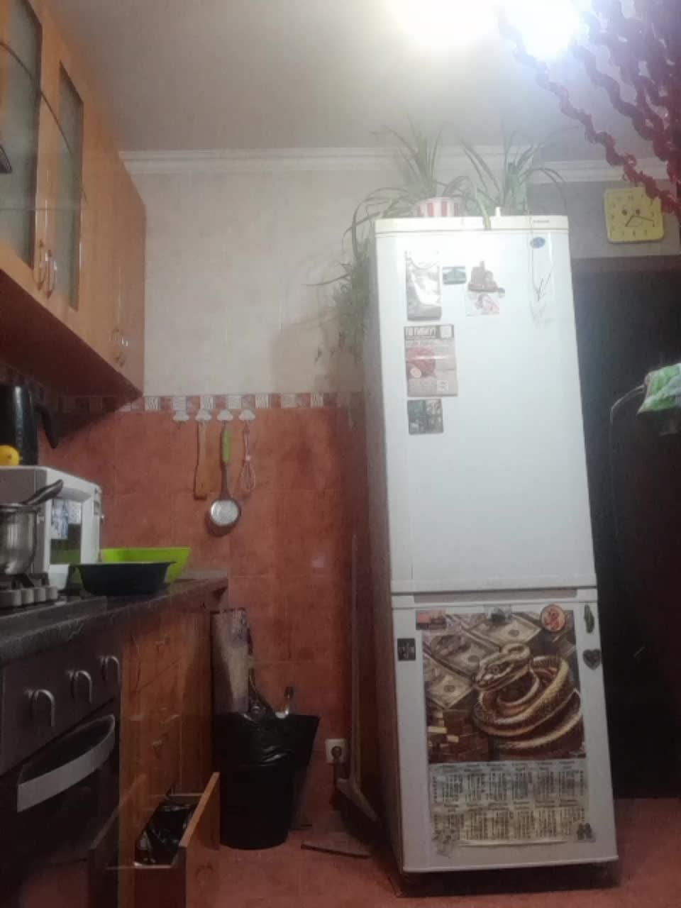 N-I-M-F-O-M-A-N-K-A Adult Chat October 5, 2025