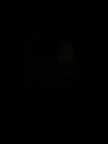 Kotik0690 Adult Chat October 5, 2025