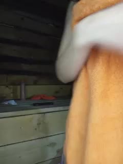 MsHsFuck Adult Chat October 5, 2025