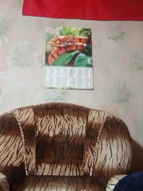 Calibriya Adult Chat October 5, 2025