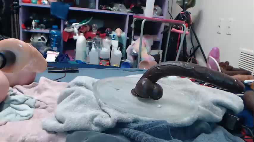 animergamergirl Adult Chat October 5, 2025