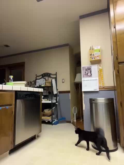 PrurientGem Adult Chat October 5, 2025