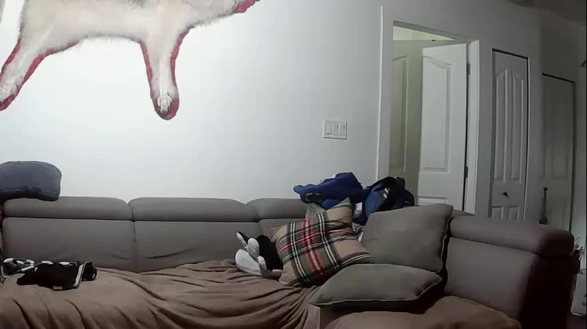 lolalixx6969 Adult Chat October 5, 2025