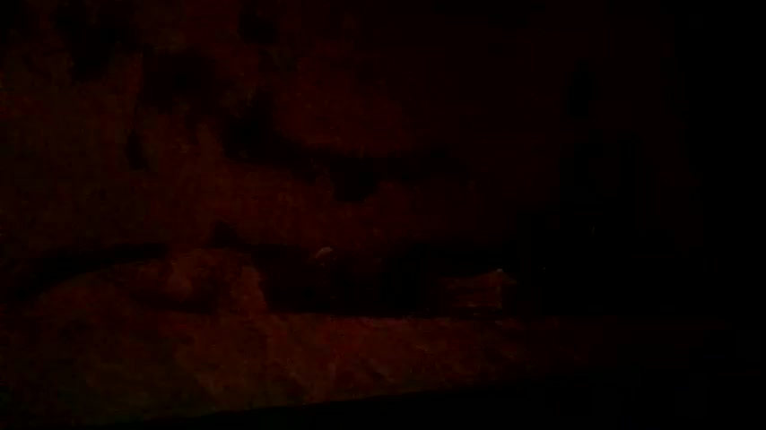 lacybell Adult Chat October 5, 2025