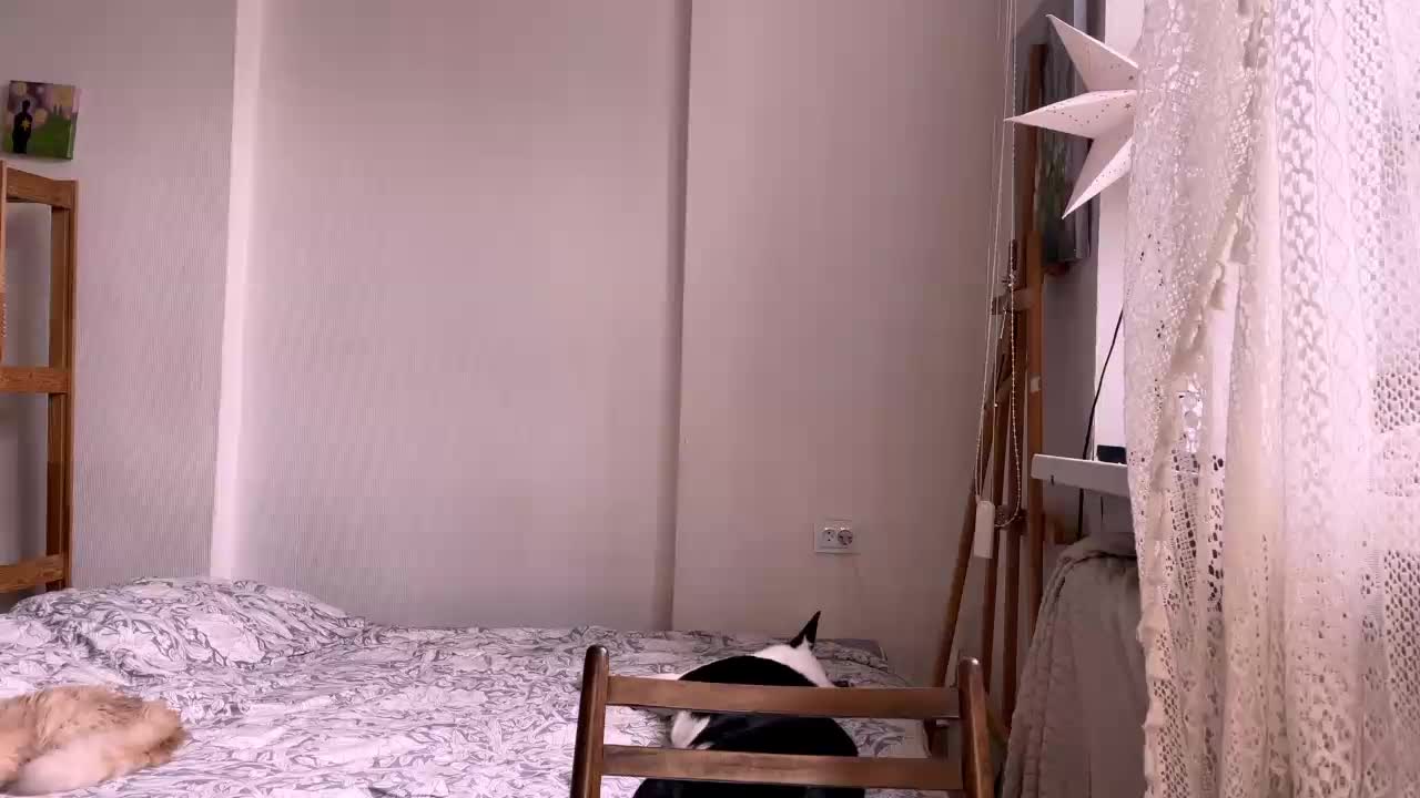 AlmetaGentili Adult Chat October 6, 2025