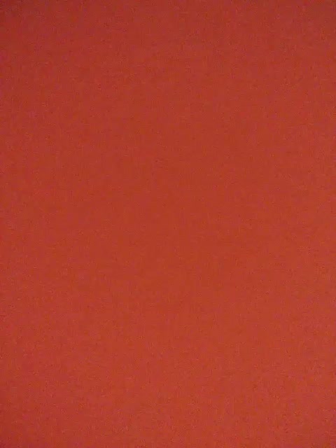 Xo4y-SeXa Adult Chat October 6, 2025