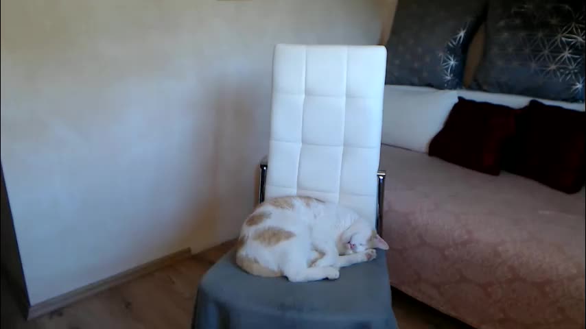 kathylovexxx Adult Chat October 6, 2025