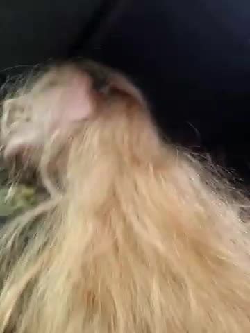 LianaJu Adult Chat October 6, 2025