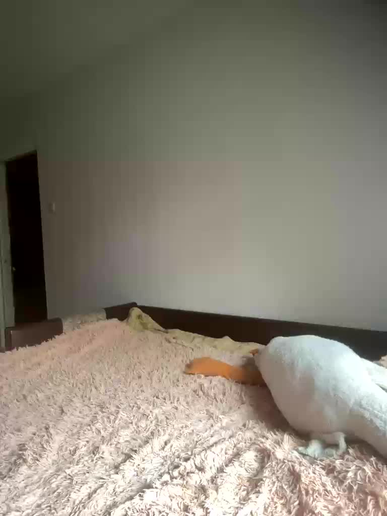 Xyligana Adult Chat October 6, 2025