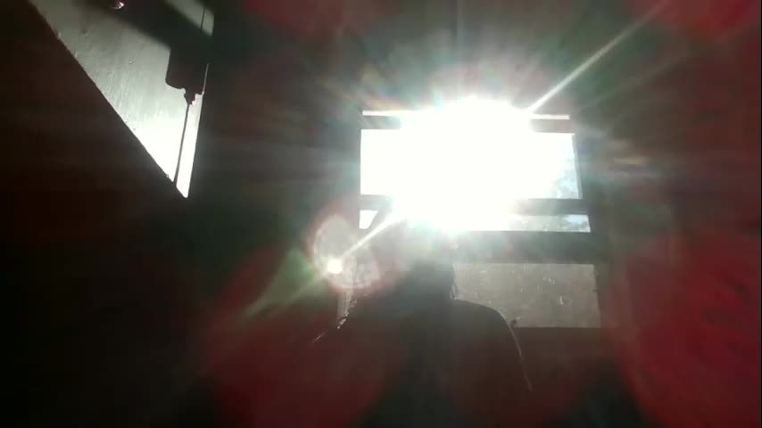 doegarden Adult Chat October 6, 2025