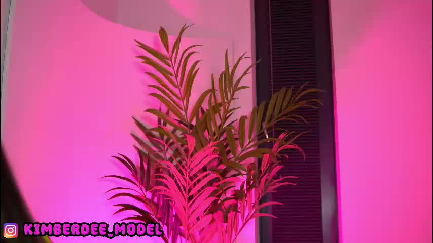 kimberdeee Adult Chat October 7, 2025