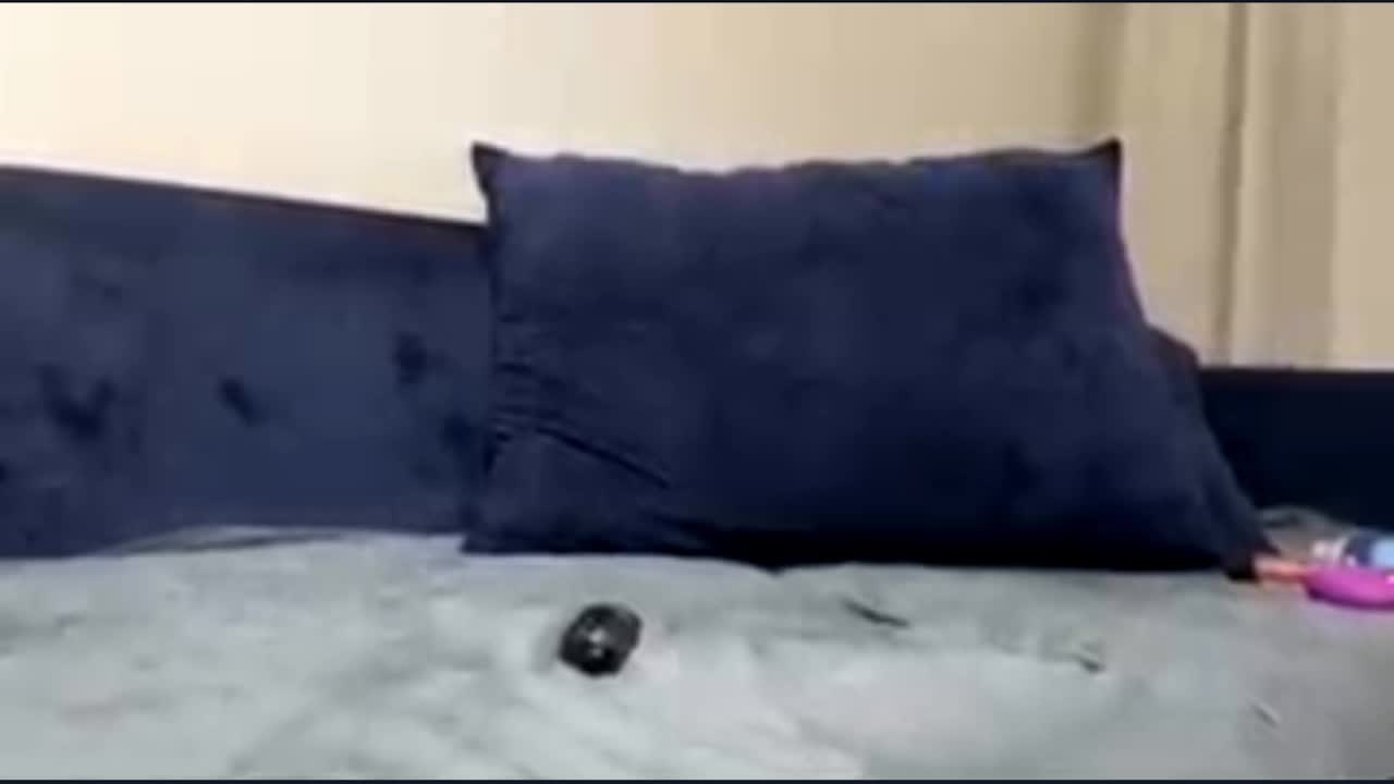 NovaNoirr Adult Chat October 7, 2025