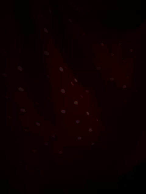 Angelina-8 Adult Chat October 7, 2025