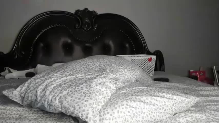 bigbuttsarena Adult Chat October 7, 2025