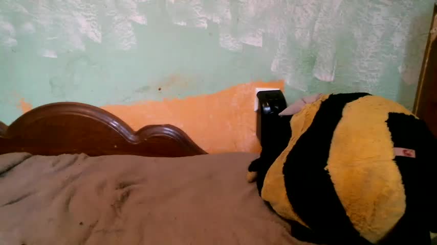 DennisXCaroll Adult Chat October 7, 2025