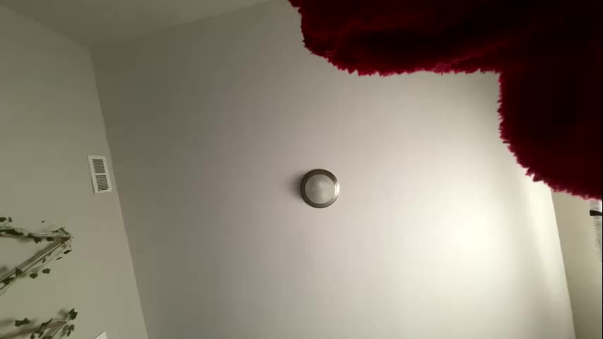 zoel87 Adult Chat October 8, 2025