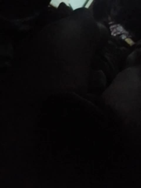 Fuffocka Adult Chat October 8, 2025