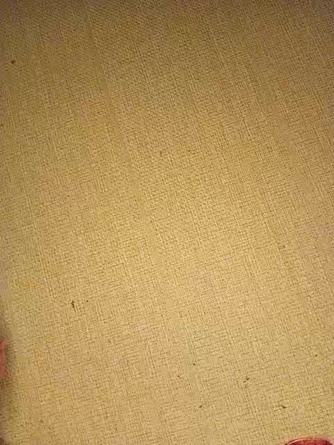 Maxxxxx7778 Adult Chat October 8, 2025