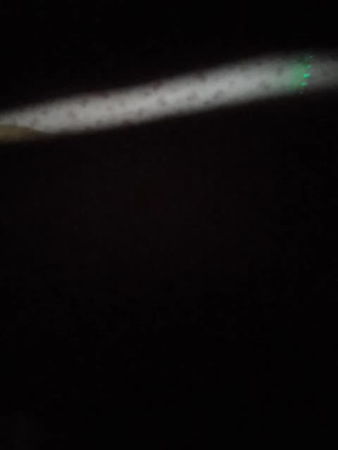 Fuffocka Adult Chat October 8, 2025