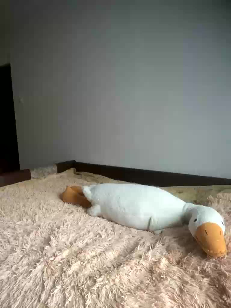 Xyligana Adult Chat October 8, 2025