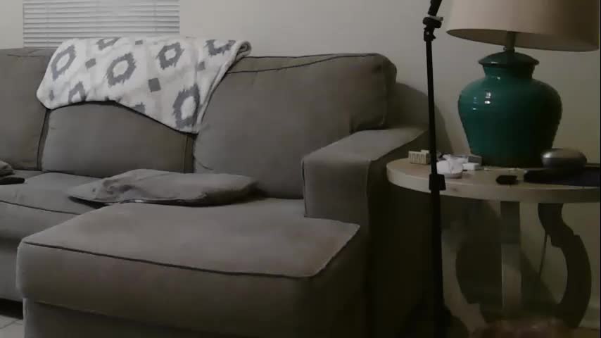 bigcraig123 Adult Chat October 8, 2025