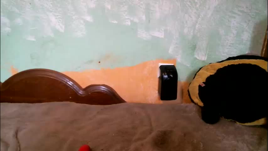 dennisxcarol Adult Chat October 8, 2025