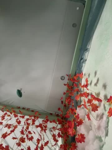 -Windranger- Adult Chat October 8, 2025