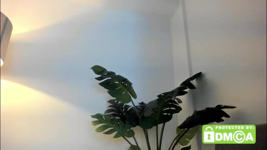 ashllovee_ Adult Chat October 9, 2025